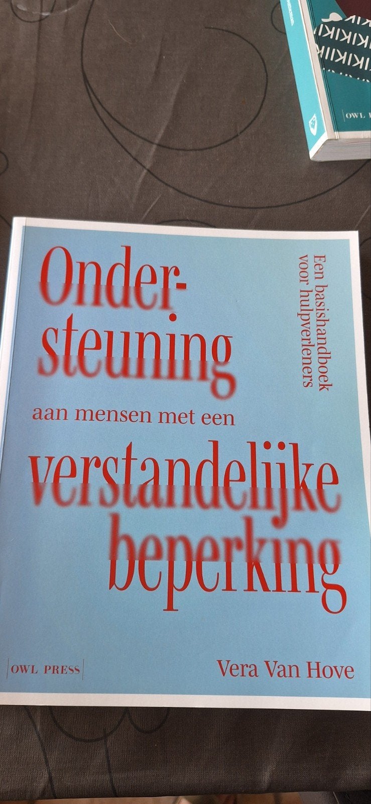 Ondersteuning aan mensen met een verstandelijke beperking, Ophalen of Verzenden, Nederlands, Vera Van Hove