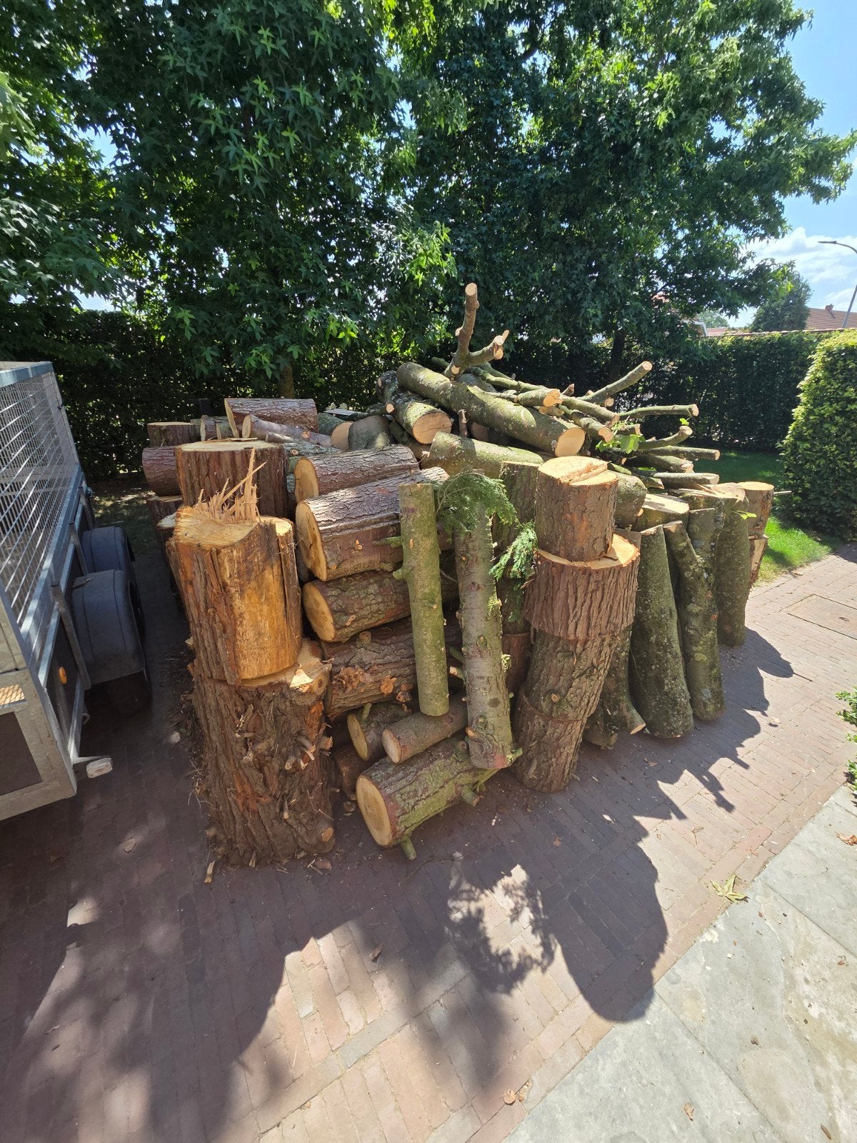 portie brandhout, 6 m³ of meer, Ophalen, Essenhout, Blokken