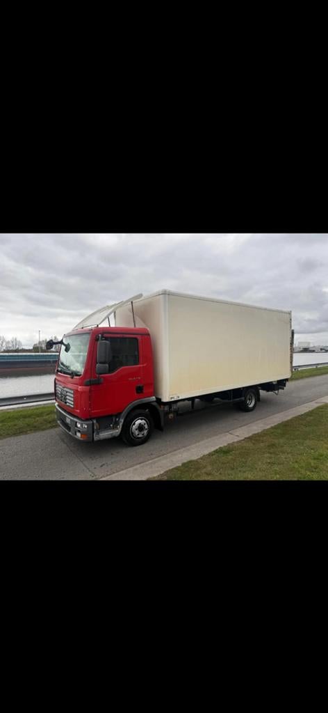 Man, Autos, Camions, Rouge, Achat, Entreprise, 3 places