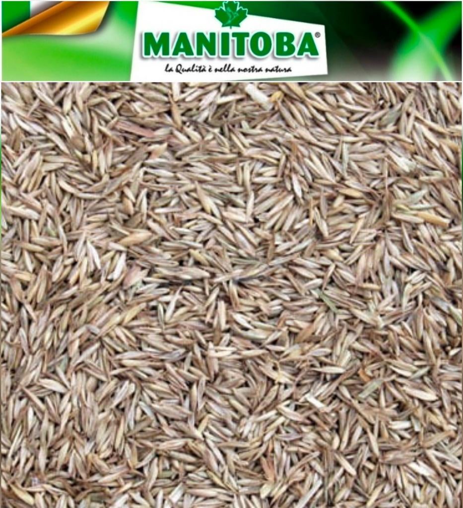 Knaulgras (kropaar)  500g - Manitoba, Dieren en Toebehoren, Ophalen