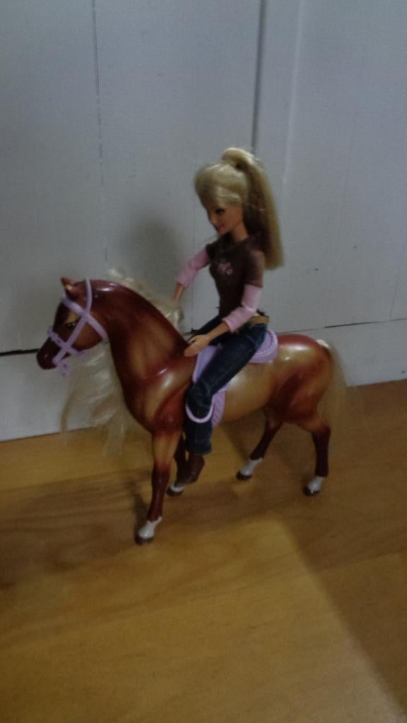Paard met ruiter van Barbie, Kinderen en Baby's, Speelgoed | Poppen, Ophalen, Zo goed als nieuw, Barbie