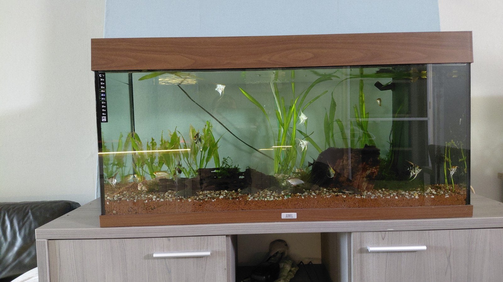 Acuarium + alles wat he ziet. Ook lucht pomp, Enlèvement, Pompe