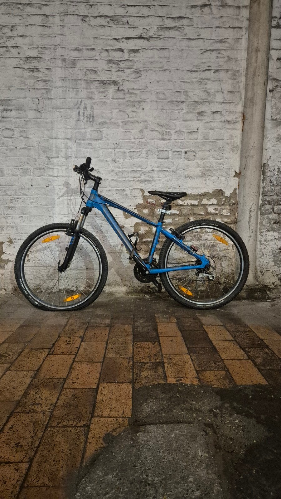 Thompson mountainbike voor tieners, Ophalen, Gebruikt, Thompson