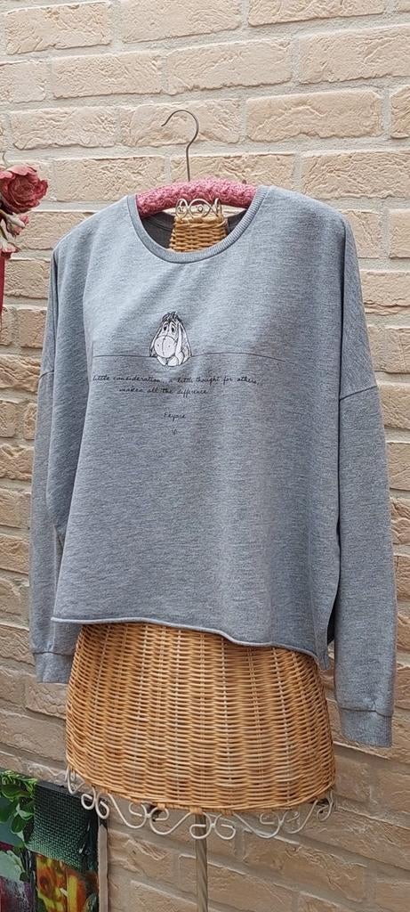 Truitje maat l Disney, Disney, Maat 42/44 (L), Ophalen of Verzenden, Grijs