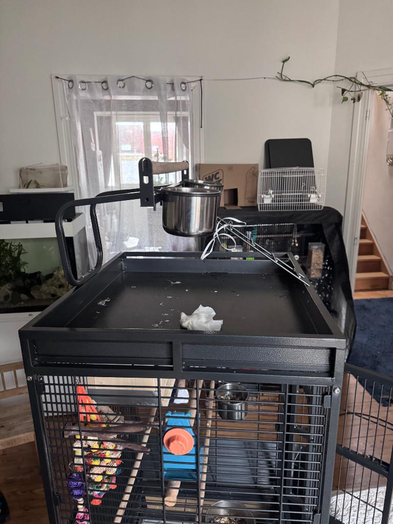 Bird cage, Animaux & Accessoires, Oiseaux | Cages & Volières, Enlèvement, Comme neuf, Métal, Cage à oiseaux