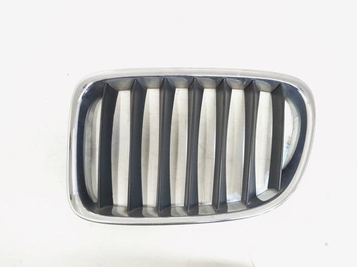 Calandre d'un BMW X1, Autos : Pièces & Accessoires, Carrosserie & Tôlerie, -, 3 mois de garantie, Utilisé, -