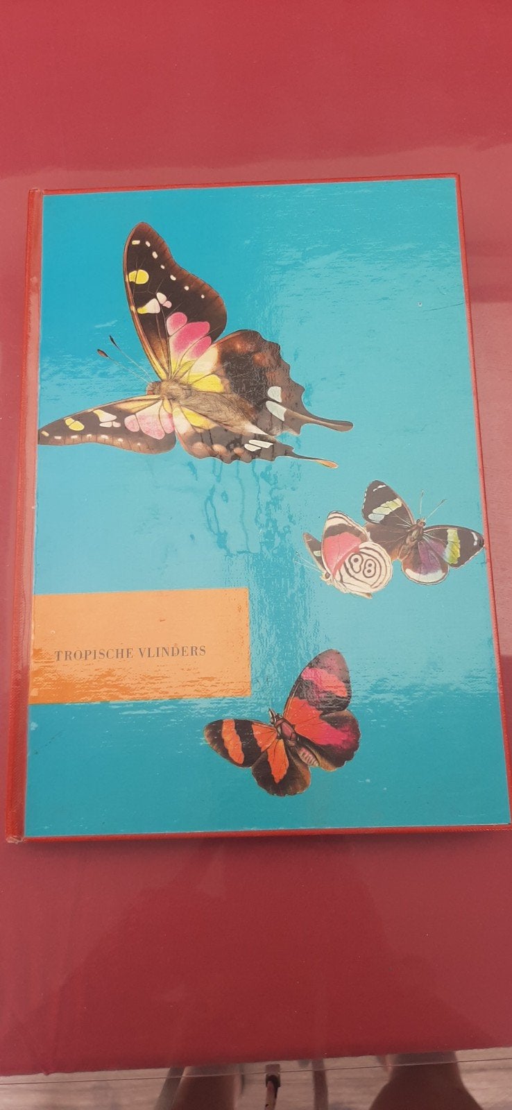 Artis historie de wonderwereld der tropische vlinders 1958, Livres, Livres d'images & Albums d'images, Enlèvement ou Envoi