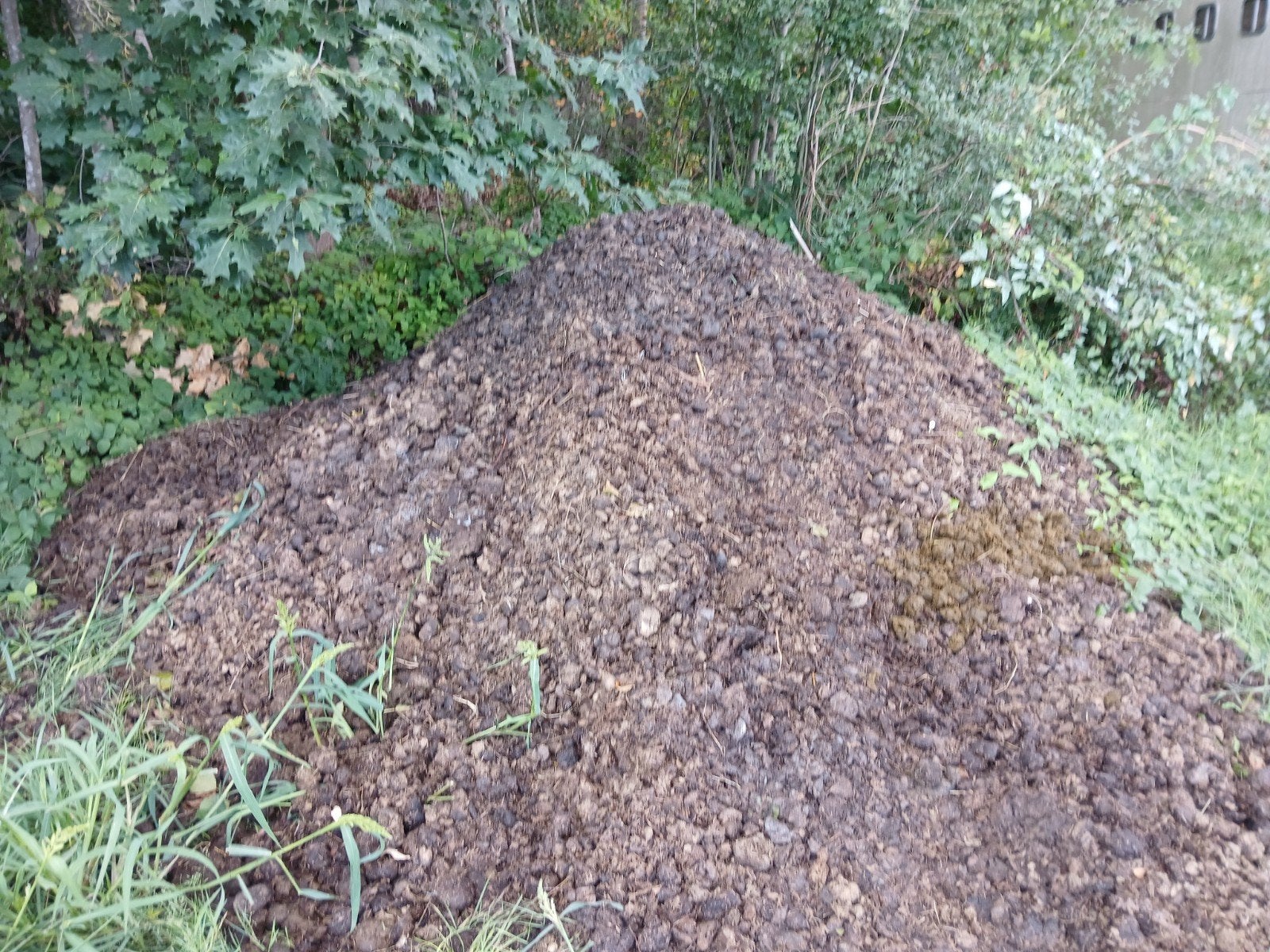 Zuiver paardenmest ( Rillaar), Tuin en Terras, Ophalen