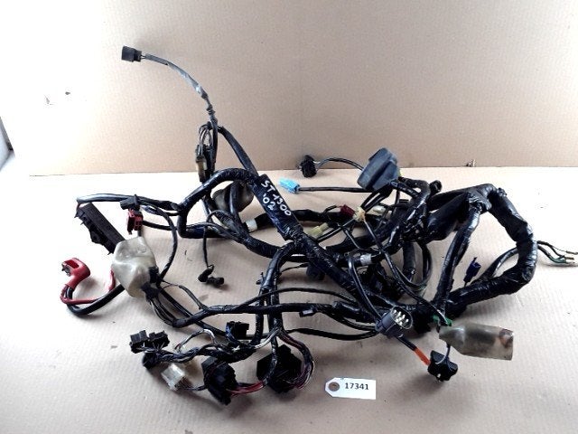 ST1300 2002 - 2009 Honda Kabelboom Kabelboom hoofd D1-30577