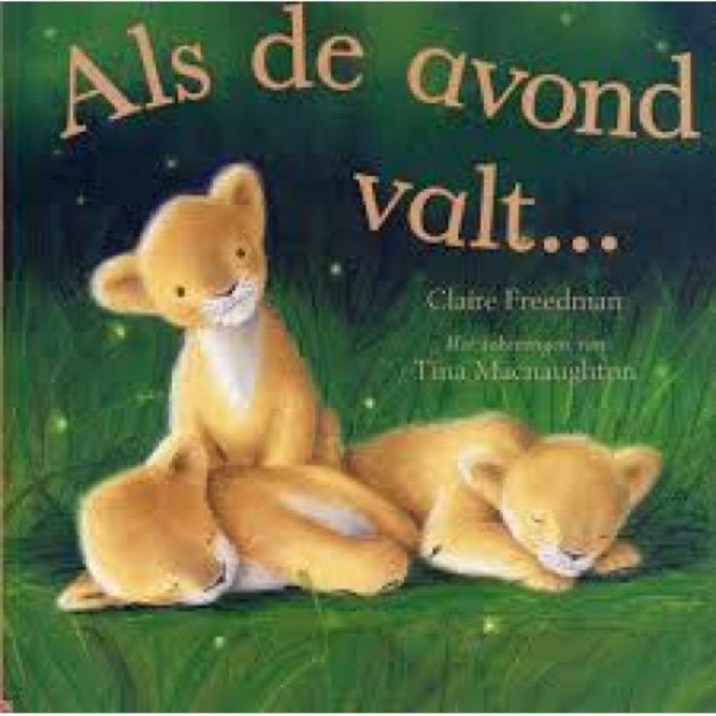 boek: als de avond valt.../Claire Freedman, Enlèvement ou Envoi, Comme neuf, Fiction général, Livre de lecture