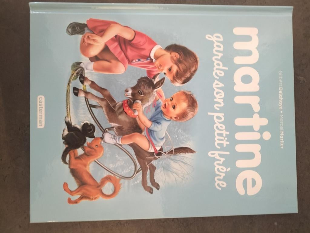 Martine garde son petit frère, Livres, Une BD, Enlèvement ou Envoi, Comme neuf, Gilbert Delahaye