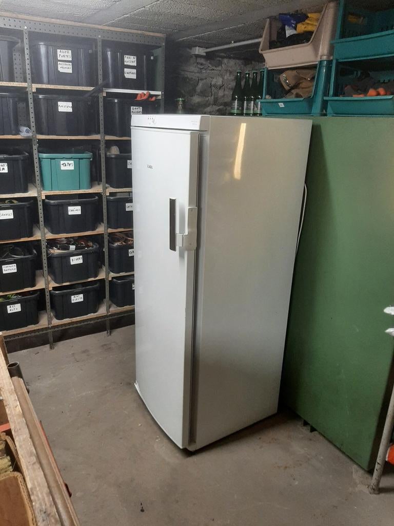 AEG diepvriezer super conditie dubbel gebruik, Ophalen, Vrieskast