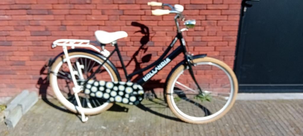 Fiets Hollandia, Fietsen en Brommers, Ophalen