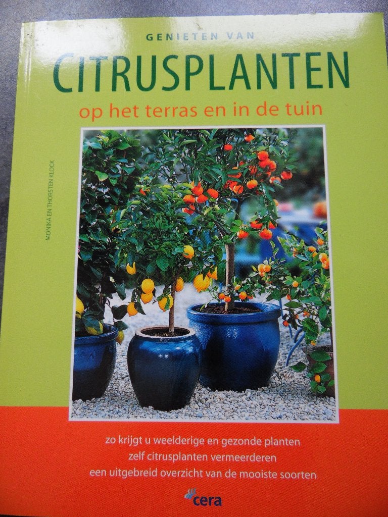 Citrus planten, Ophalen of Verzenden, Nieuw, Cera, Tuinieren en Tuinplanten