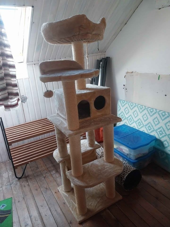arbre chat de 1m60 de haut, Animaux & Accessoires, Enlèvement, Utilisé, Griffoir