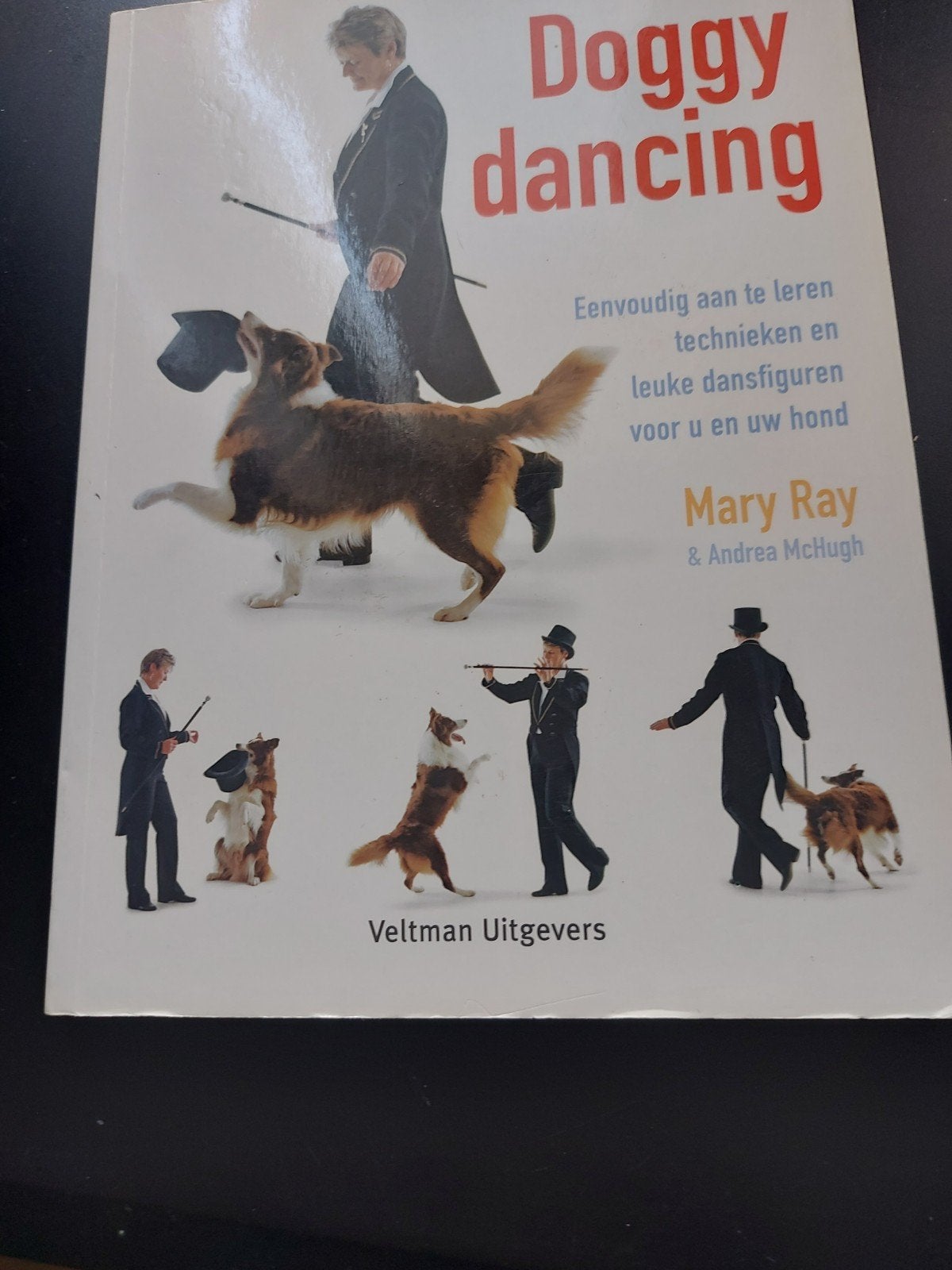 M. Ray - Doggydancing, Enlèvement, M. Ray; A. MacHugh