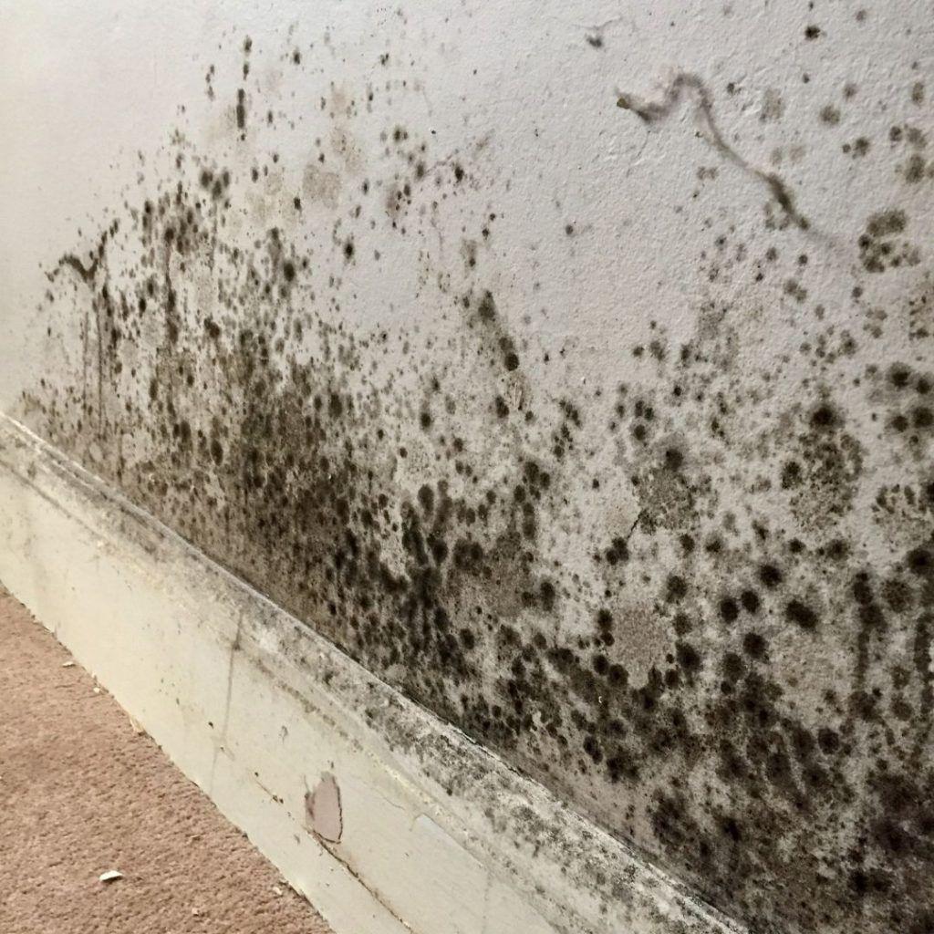 Vochtproblemen, Huis en Inrichting, Ophalen