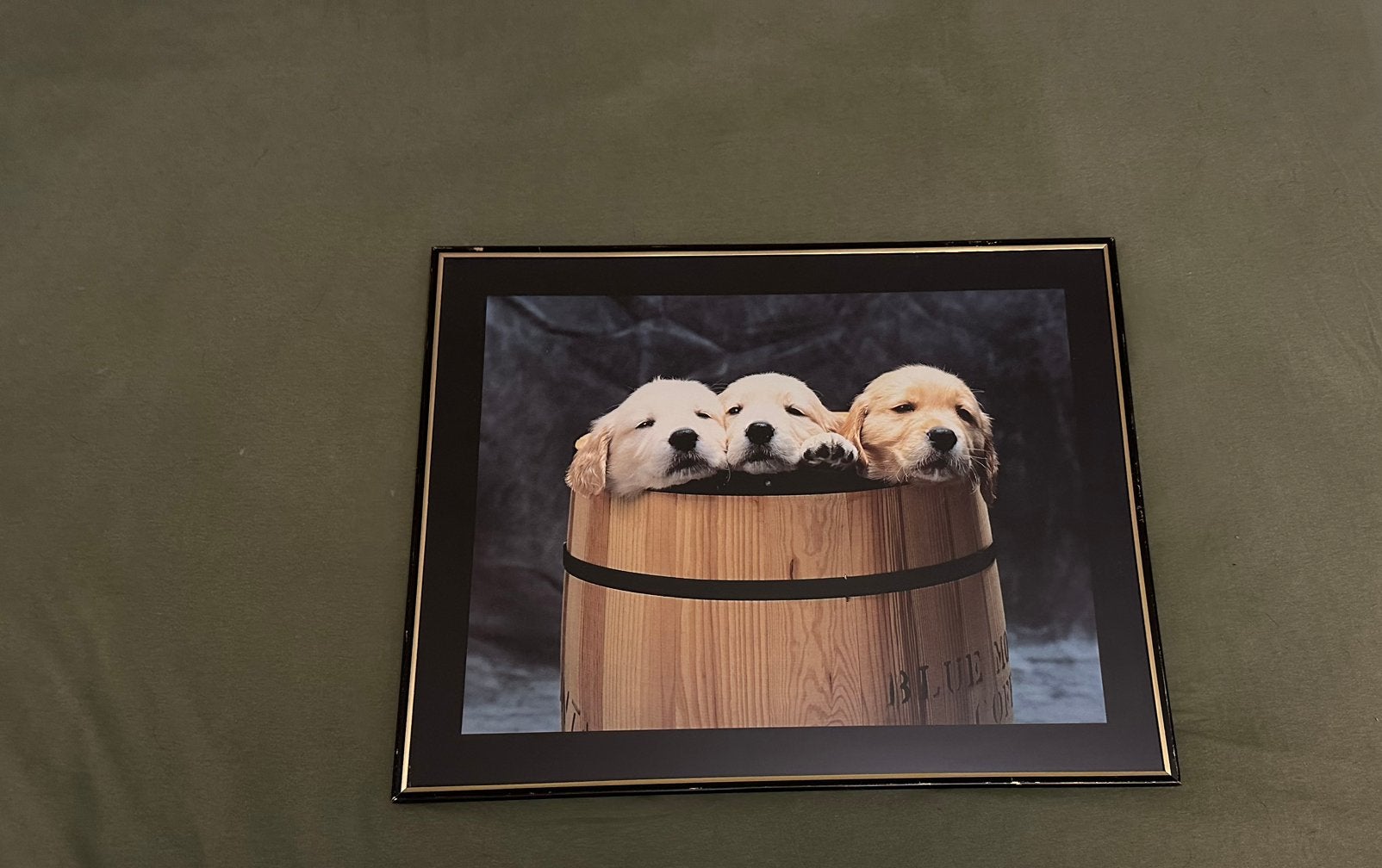 3 chiots Golden Retriever dans des tonnes de cadres, 40 cm, Multicolore, Enlèvement, Utilisé