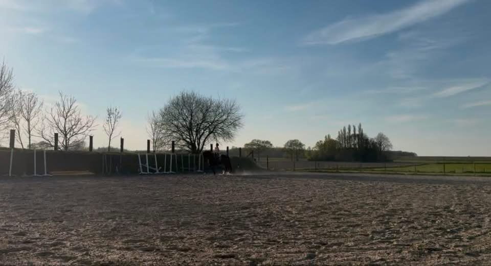 Stalling verhuur, Dieren en Toebehoren, Stalling