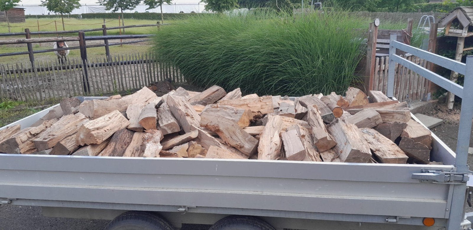 brandhout, 6 m³ ou plus, Enlèvement, Chêne, Bûches