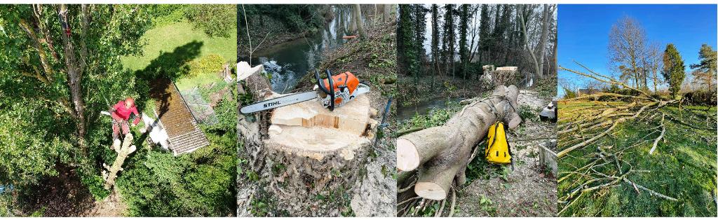 Travaux d'abattage / démontage / élagage d'arbres, Ophalen