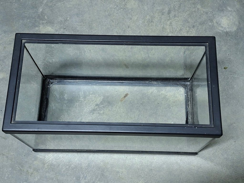 Aqarium voor goudvissen, Dieren en Toebehoren, Goudvis(sen)