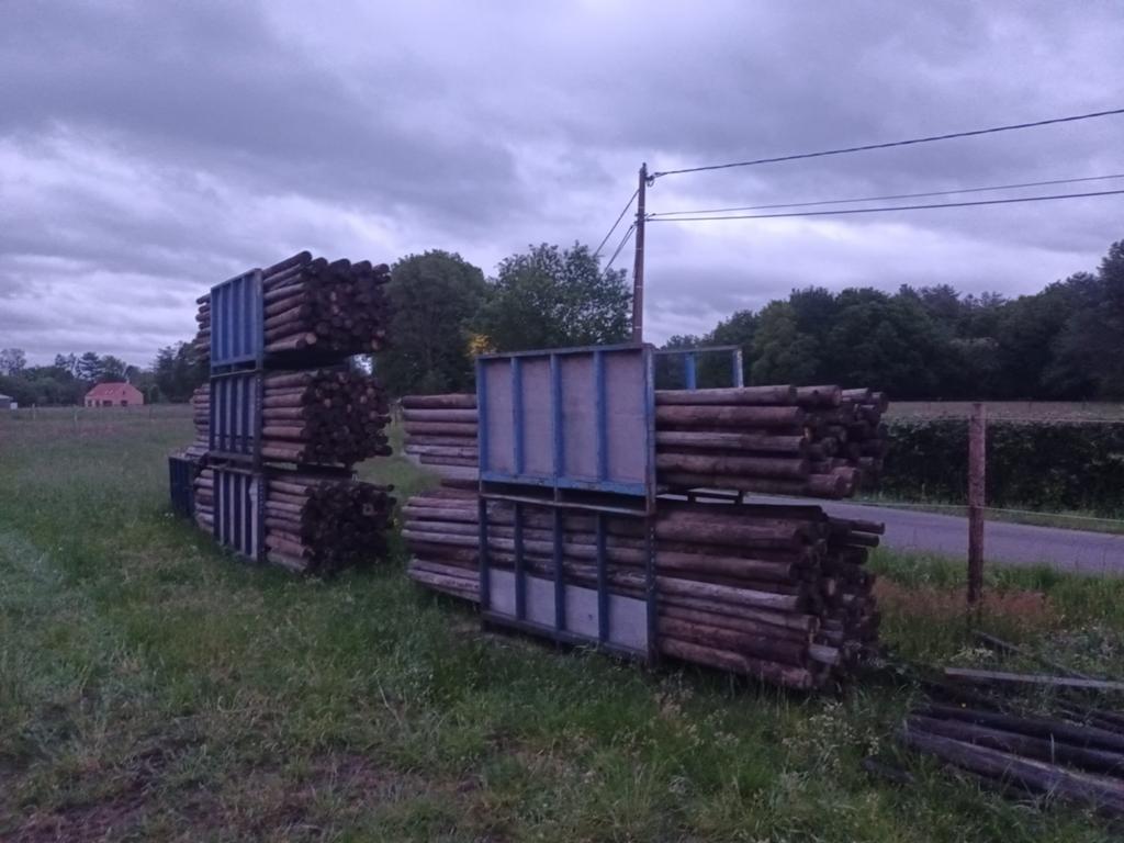 Weipalen, Dieren en Toebehoren, Stalling en Weidegang