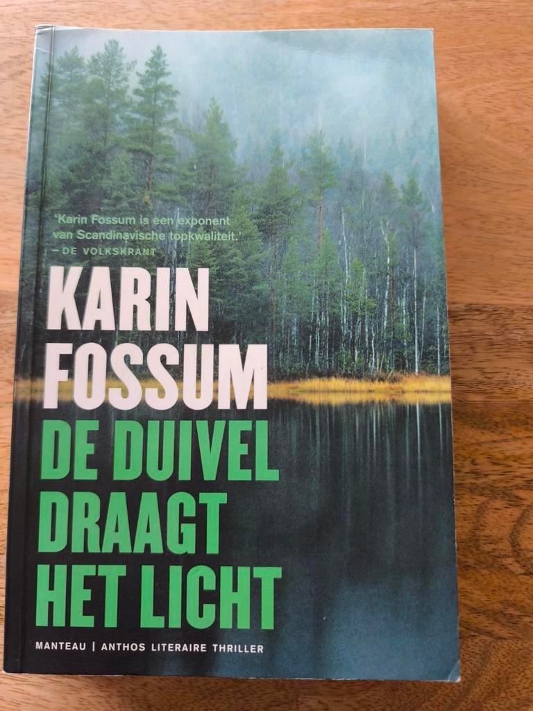 Karin Fossum - De duivel draagt het licht, Boeken, Ophalen of Verzenden, Karin Fossum