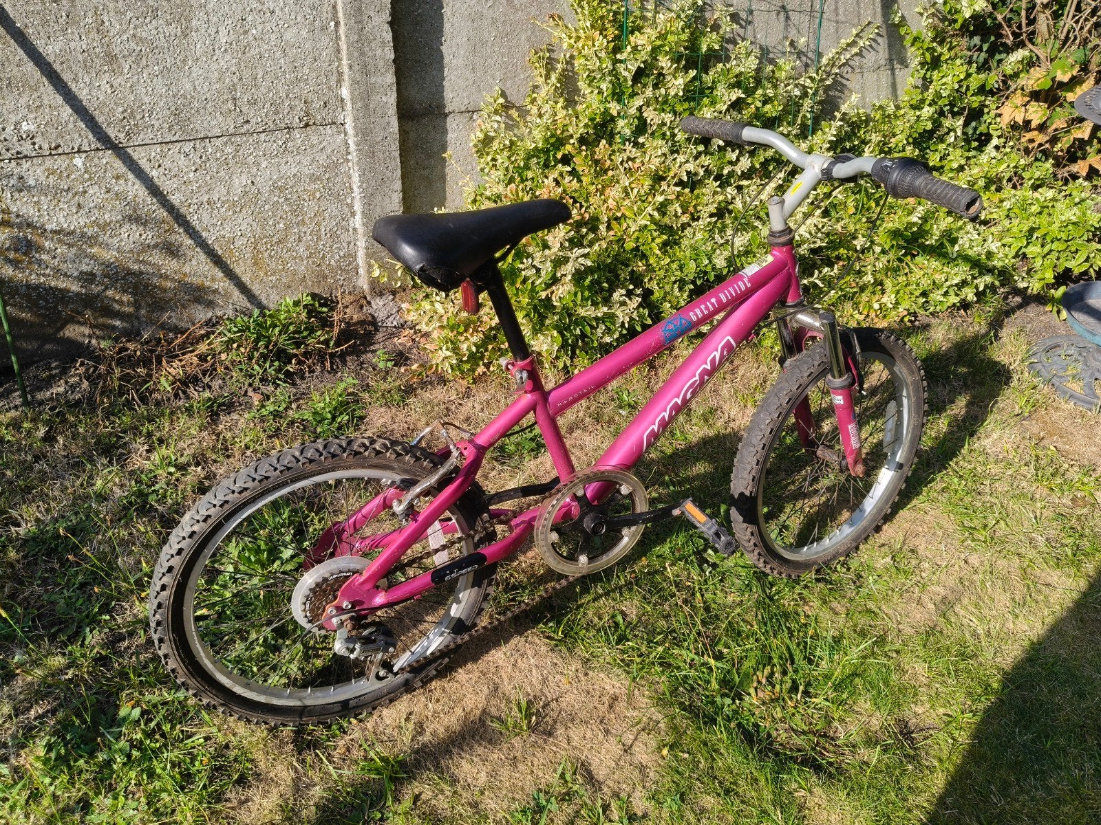 vélo fille, Enlèvement, 20 pouces, Vitesses