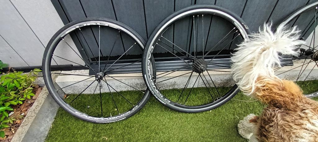 campagnolo eurus wielen, Fietsen en Brommers, Fietsonderdelen, Gebruikt, Campagnolo, Aluminium, Racefiets