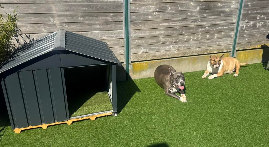 Metalen Hondenhok ( Nieuwprijs 110€ ), Enlèvement, 100 cm ou plus, 110 cm ou plus, Niche à chien