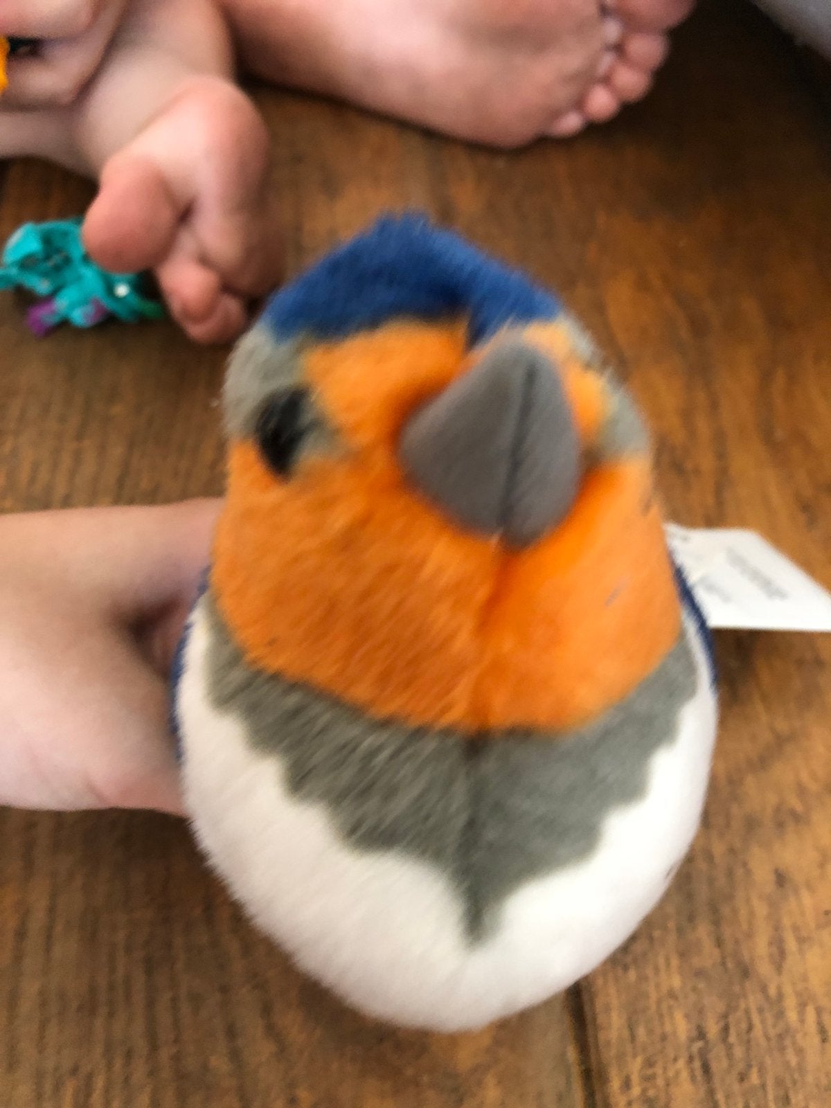 Knuffel vogel, Enlèvement, Utilisé
