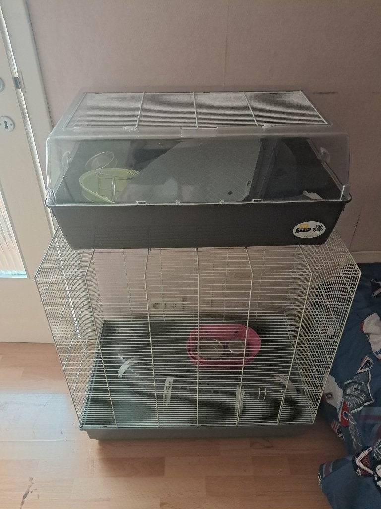 Cage grand rongeur, Ophalen, Kooi, Zo goed als nieuw, 90 cm of meer