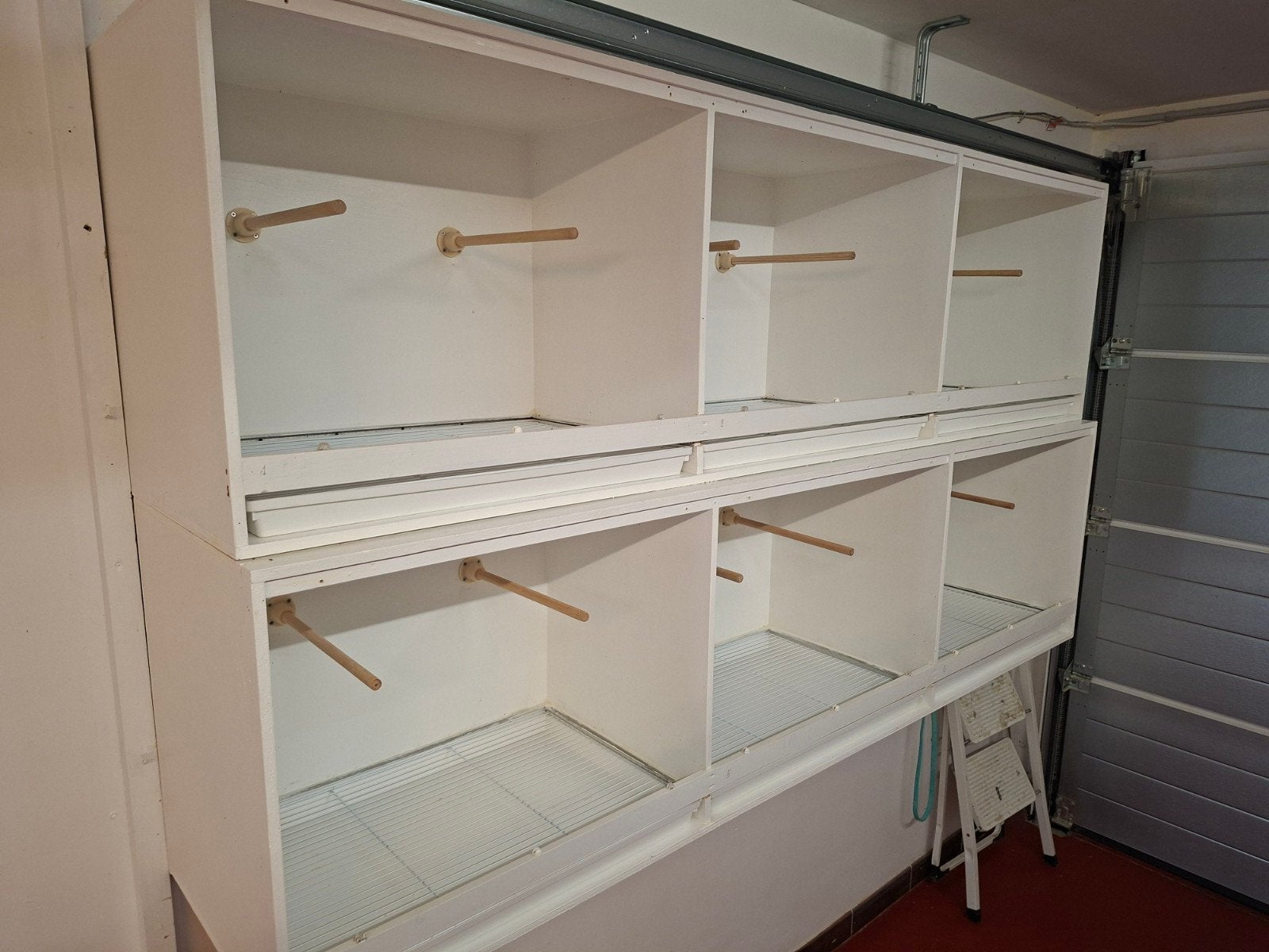 mooie kweekkooien, Animaux & Accessoires, Enlèvement, Bois
