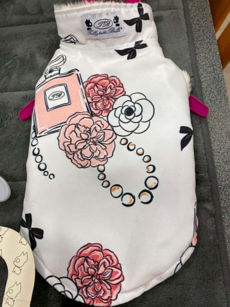Super mooi shirtje en bijpassend vestje van boetiekmerk TTB, Ophalen of Verzenden, Nieuw