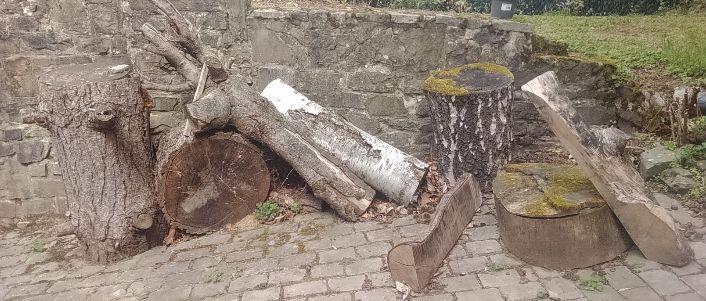 Grand lot de bois à donner, Enlèvement