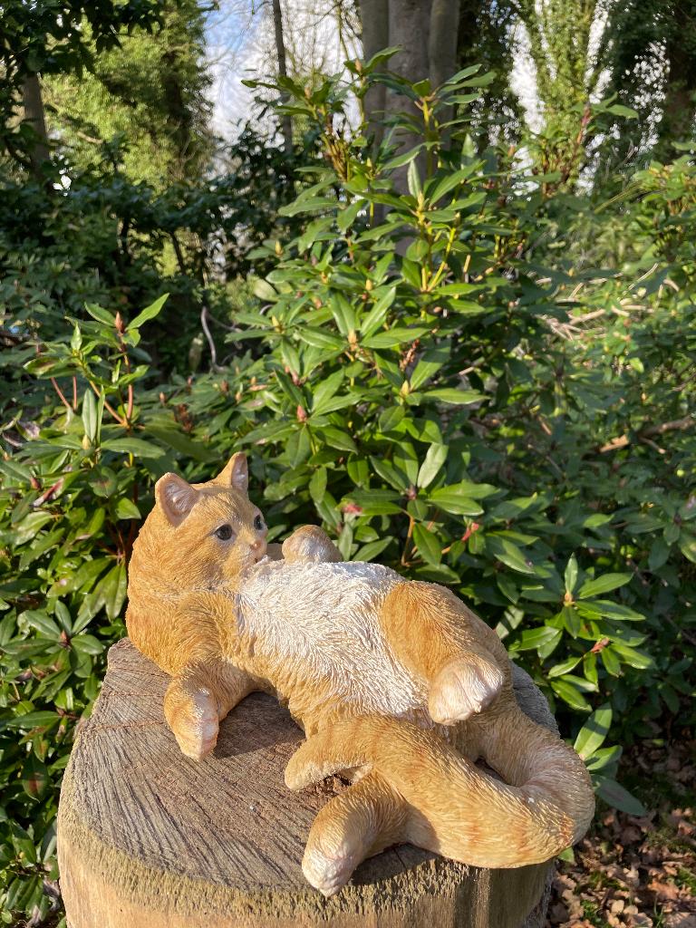 Chat, chat, couché, brun, jardin, pelouse, ferme 40 cm, Jardin & Terrasse, Statues de jardin, Neuf, Animal, Synthétique, Enlèvement ou Envoi