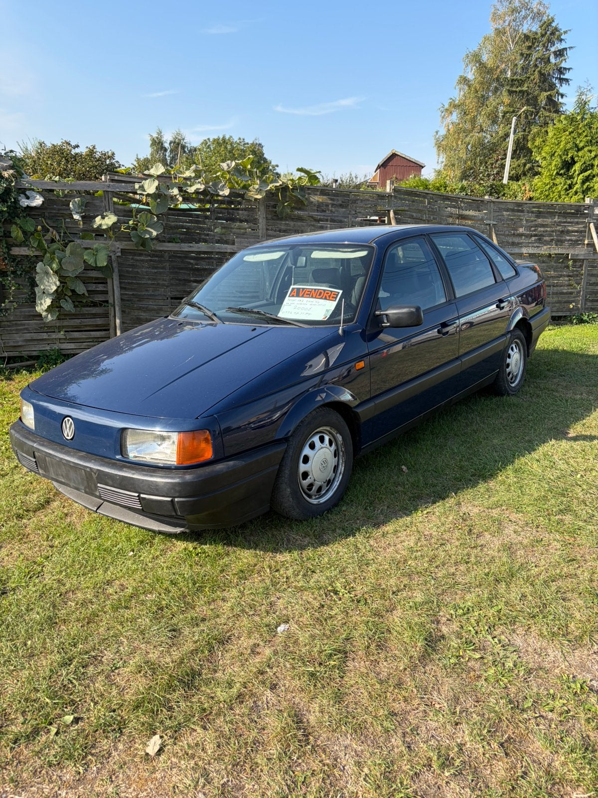 Passat 35i 19cc, Autos, Achat, Diesel, Particulier, Passat