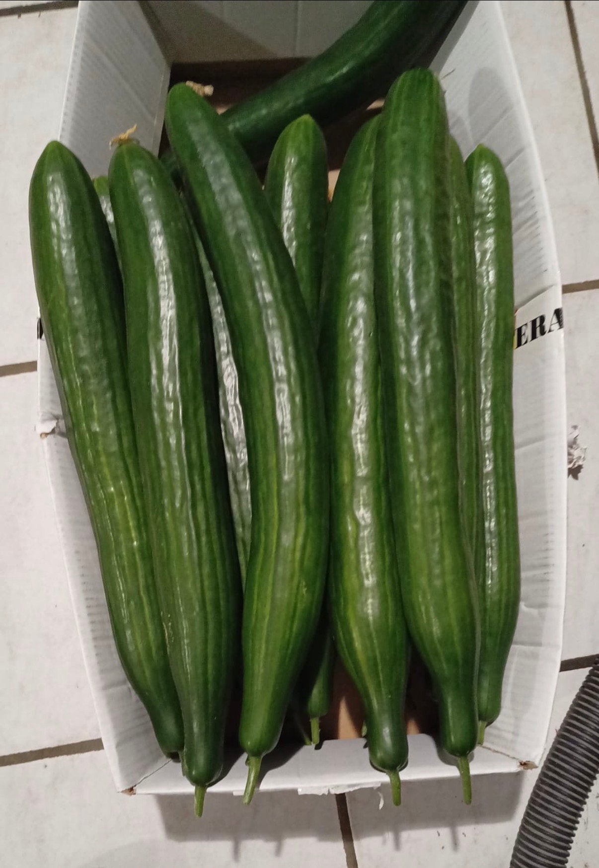 Nieuwe lading komkommers en courgetten, Ophalen