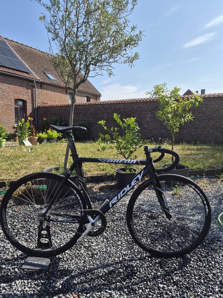 Ridley Arena – Vélo de piste / Fixie – Taille L, Enlèvement ou Envoi, Comme neuf, Frein à rétropédalage, Autres marques