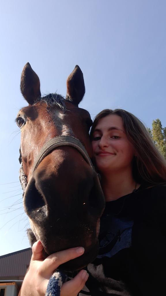 Leasepaard/ bruikleenpaard gezocht, Dieren en Toebehoren, Paarden, Merrie