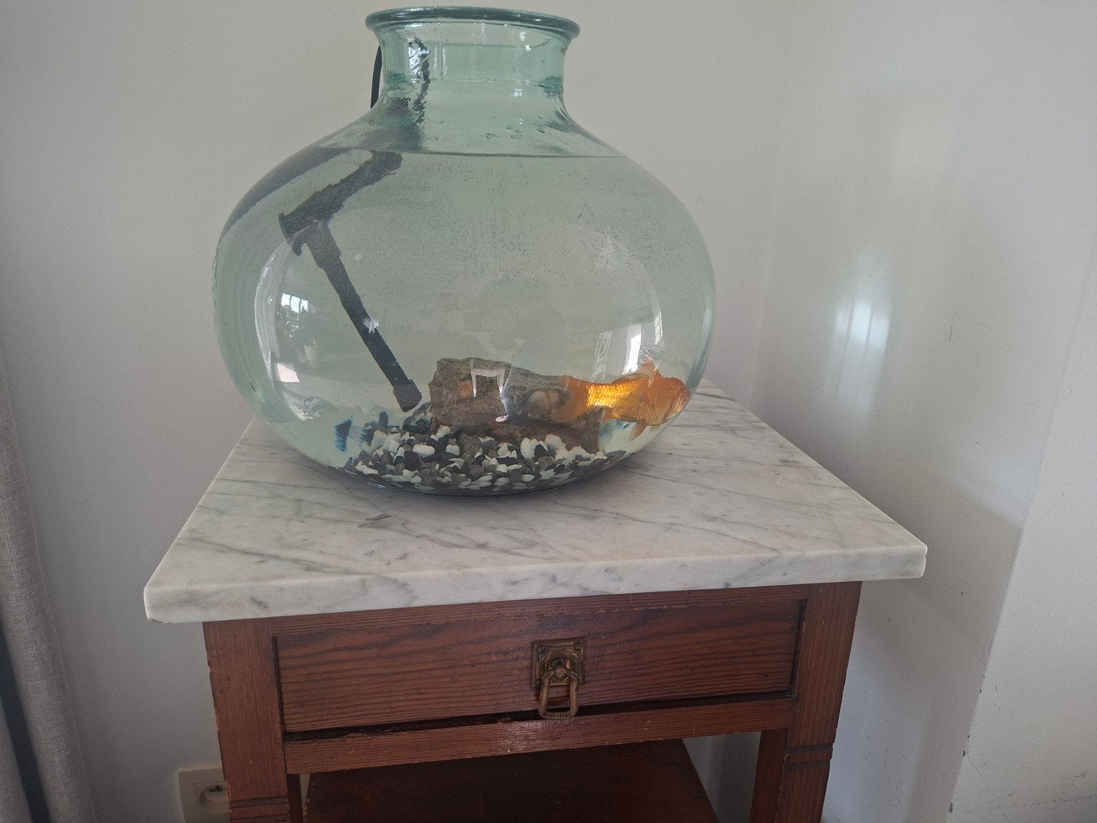 goudvis plus accesiores te koop bokaal niet