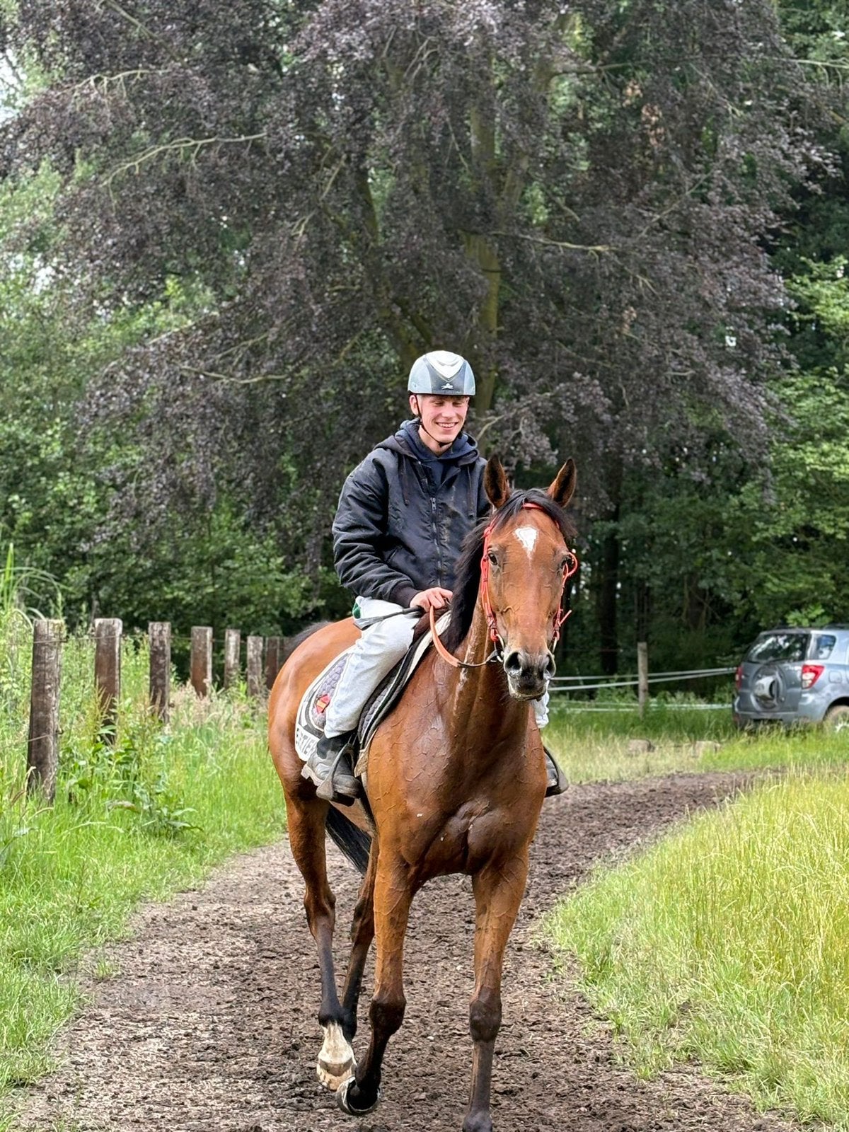 Tof merrietje te koop, Dieren en Toebehoren, Merrie, Springpaard, Met stamboom, 7 tot 10 jaar