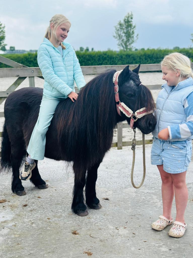 Mega lieve kinder shetlander merrie, Dieren en Toebehoren, Merrie, Met stamboom, Zadelmak, A pony (tot 1.17m)