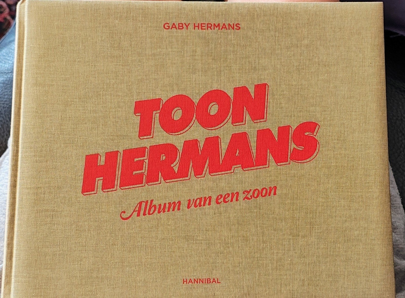 Toon Hermans fotoboek, Livres, Art & Culture | Architecture, Enlèvement ou Envoi