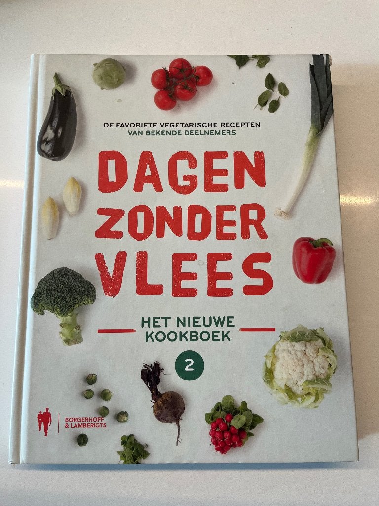 Boek Dagen zonder vlees, Livres, Johanna goyvaerts, Enlèvement, Utilisé, Europe