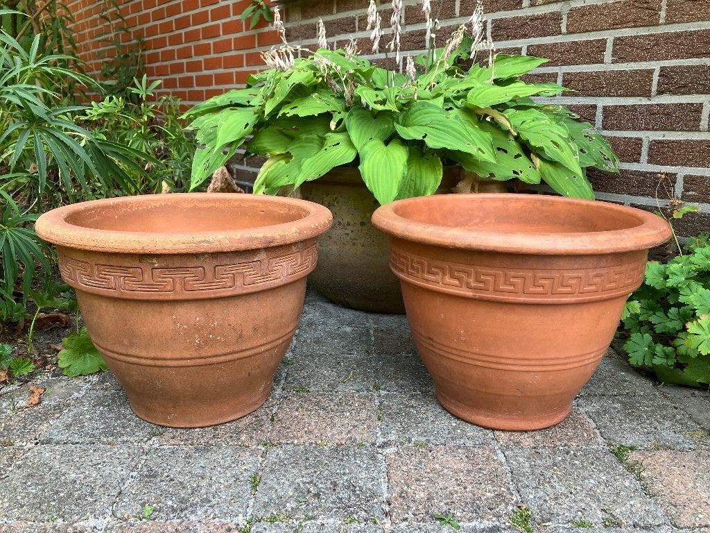 Terracotta bloempot met meander randmotief, Tuin en Terras, Ophalen, Terracotta