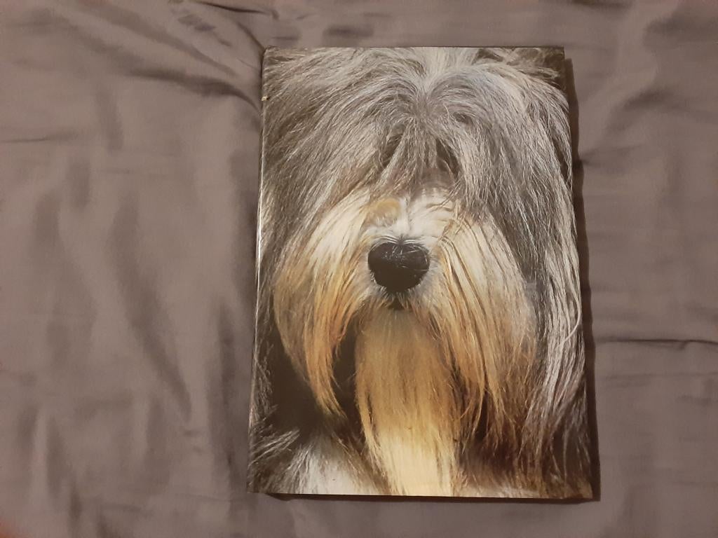 De hond, een mensenvriend van Ray Anderson Hondenboek, Ophalen of Verzenden, Honden