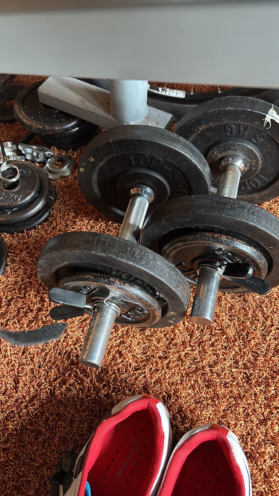Fitnessbank met halters en gewichten - ook apart te koop, Sport en Fitness, Ophalen, Gebruikt, Fitnessbank