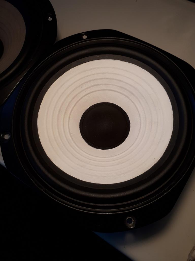 Woofers TECHNICS 25cm, Enlèvement
